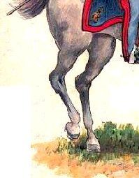 Piemont Dragoner 1830
